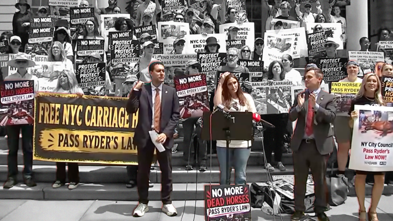 protestors and city councilmen with signs for ryder's law