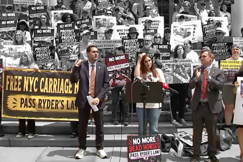 protestors and city councilmen with signs for ryder's law